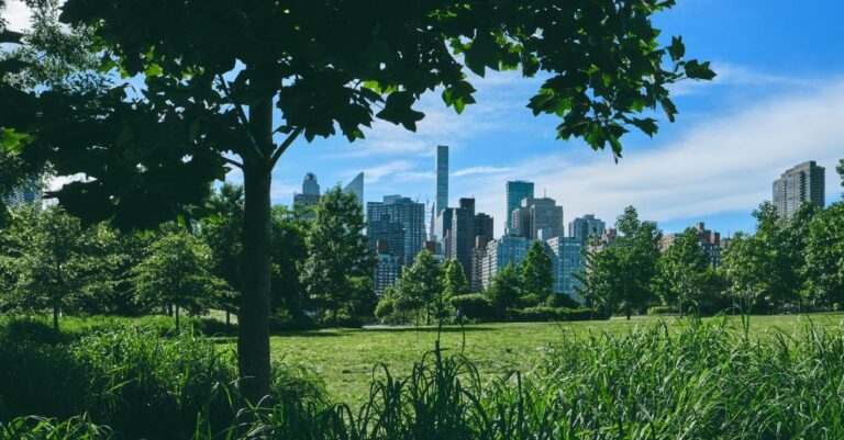 Vibrant view of New York City skyline framed by lush green park foliage during daytime.